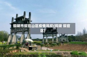 铜陵市铜官山区疫情风控(铜陵 铜官区)