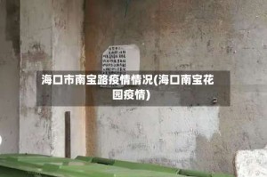 海口市南宝路疫情情况(海口南宝花园疫情)