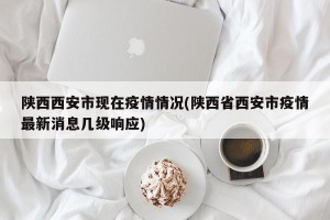 陕西西安市现在疫情情况(陕西省西安市疫情最新消息几级响应)
