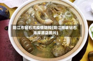 阳江市钻石湾疫情防控(阳江闸坡钻石海岸酒店图片)