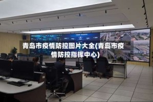 青岛市疫情防控图片大全(青岛市疫情防控指挥中心)