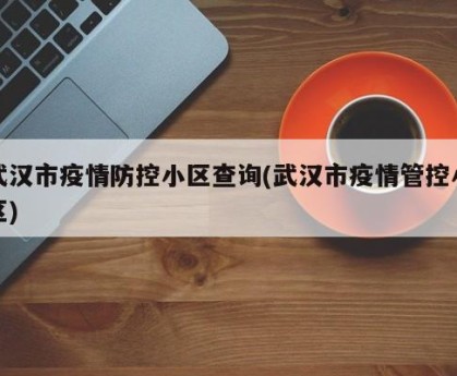 武汉市疫情防控小区查询(武汉市疫情管控小区)