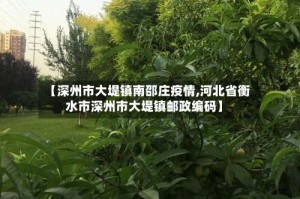 【深州市大堤镇南邵庄疫情,河北省衡水市深州市大堤镇邮政编码】