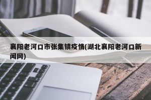 襄阳老河口市张集镇疫情(湖北襄阳老河口新闻网)