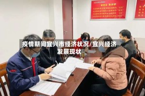 疫情期间宜兴市经济状况/宜兴经济发展现状