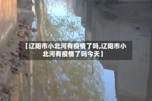 【辽阳市小北河有疫情了吗,辽阳市小北河有疫情了吗今天】