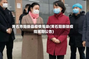 黄石市阳新县疫情等级(黄石阳新防疫指挥部公告)