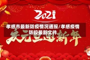 孝感市最新防疫情况通报/孝感疫情防控最新文件