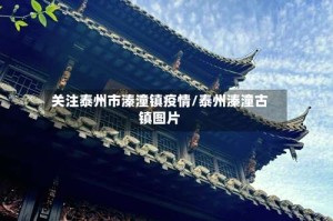 关注泰州市溱潼镇疫情/泰州溱潼古镇图片