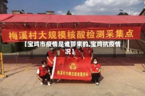 【宝鸡市疫情是谁带来的,宝鸡抗疫情况】