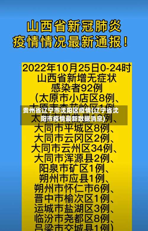 贵州省辽宁市沈阳区疫情(辽宁省沈阳市疫情最新数据消息)-第2张图片
