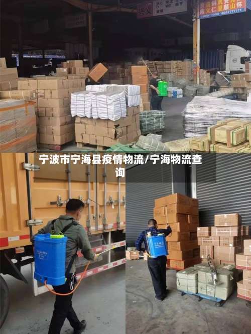 宁波市宁海县疫情物流/宁海物流查询-第1张图片
