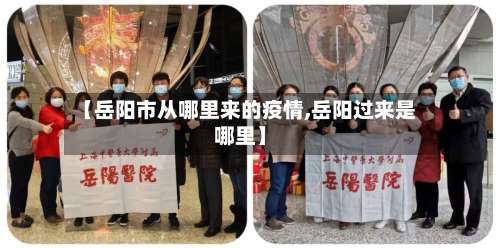 【岳阳市从哪里来的疫情,岳阳过来是哪里】-第1张图片