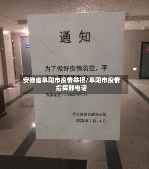 安徽省阜阳市疫情举报/阜阳市疫情指挥部电话-第1张图片