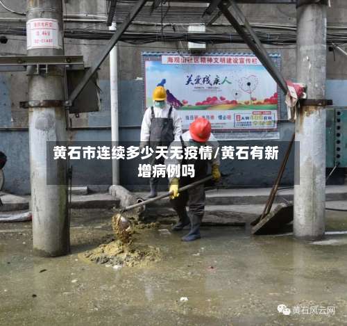 黄石市连续多少天无疫情/黄石有新增病例吗-第2张图片