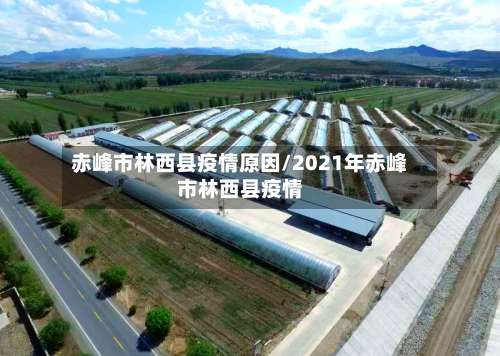 赤峰市林西县疫情原因/2021年赤峰市林西县疫情-第2张图片