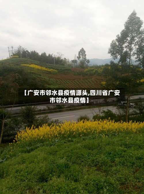 【广安市邻水县疫情源头,四川省广安市邻水县疫情】-第1张图片