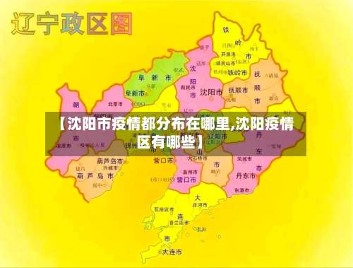 【沈阳市疫情都分布在哪里,沈阳疫情区有哪些】-第3张图片