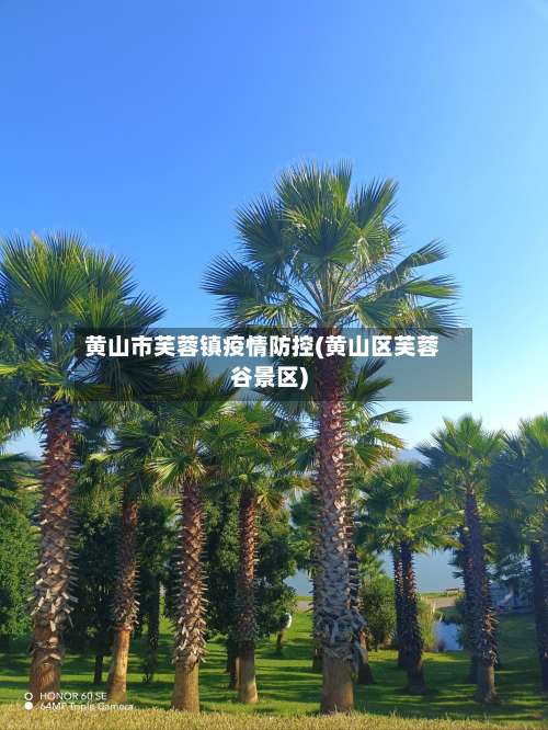 黄山市芙蓉镇疫情防控(黄山区芙蓉谷景区)-第1张图片