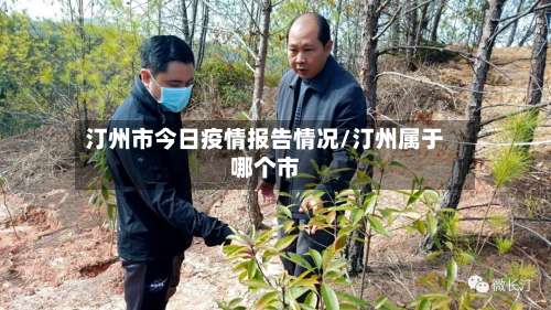 汀州市今日疫情报告情况/汀州属于哪个市-第3张图片