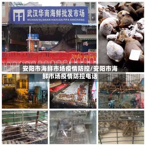 安阳市海鲜市场疫情防控/安阳市海鲜市场疫情防控电话-第1张图片