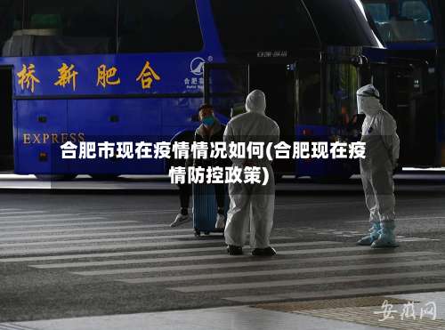 合肥市现在疫情情况如何(合肥现在疫情防控政策)-第3张图片