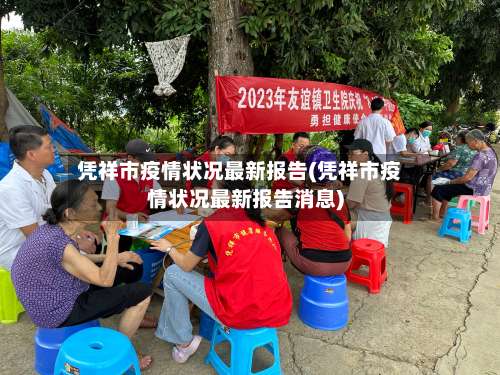 凭祥市疫情状况最新报告(凭祥市疫情状况最新报告消息)-第1张图片