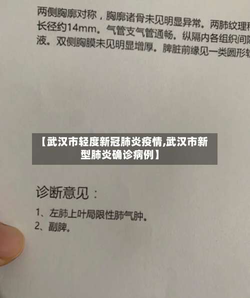 【武汉市轻度新冠肺炎疫情,武汉市新型肺炎确诊病例】-第1张图片